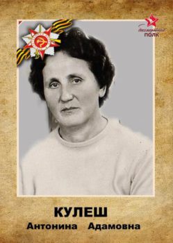 Кулеш А.А.